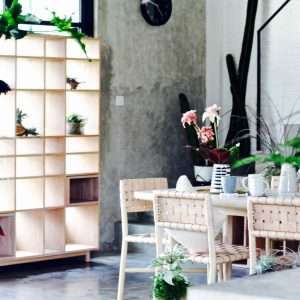 Seed Combo Cabinet Large