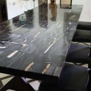 Model Top Table Petrified Wood