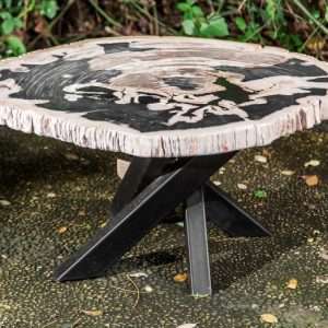 Solid Petrified Wood Roundish Side Table