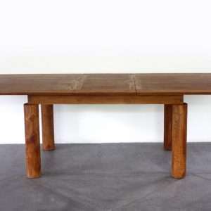 Model Legs " Pilar Extendable "