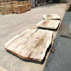 Dining Table Petrified Wood